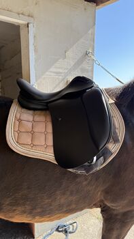 NEW Dressage sadlle Euroriding Emilio by Prestige Euroriding by Prestige  Emilio by Prestige