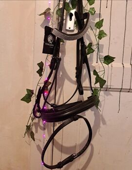 Neu trense Leder strass bagari, Jolina, Bridles & Headstalls, Lübeck