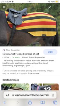 new market exercise sheet, rachel hilary , Horse Blankets, Sheets & Coolers, banbridge 