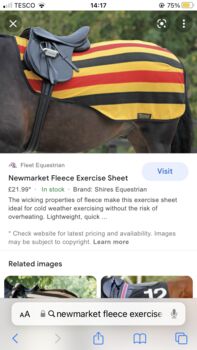 new market exercise sheet, rachel hilary , Pferdedecken, banbridge 