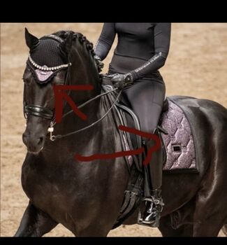 NEU OVP Equestrian Stockholm Set Purple Glimmer Schabracke Haube, Equestrian Stockholm Purple Glimmer, Leon, Dressage Pads, Nürnberg 