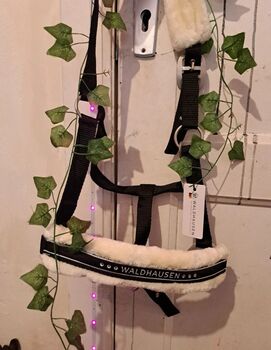 Neu halfter verschiedene set glitzer fell, Waldhausen Showmaster Felix Brühler , Jolina, Halters, Lübeck