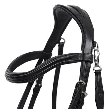 neue Trense Schwarz in Full/WB Markte QHP QHP