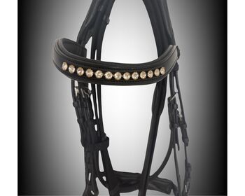 Neue Trense (Pony) von Kiefer-Wegen Aufgabe des Reitsports verk.. Kiefer 