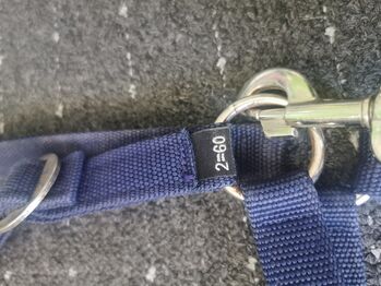 Blaues Fohlen halfter mit Strick