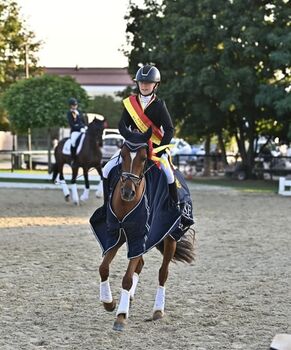 Deutsches Reitpony, Nina, Konie na sprzedaż, Burgauberg