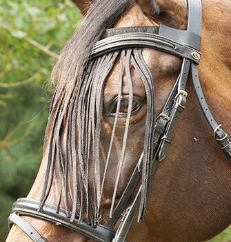 German Riding Fliegenfransen "Black"  Größe Full, Fliegenfransen, Una (Horse-design), Ochrona koni przed owadami , Rot am See