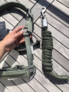 NEU ESKADRON Halfter Set Strick Ashgreen Platinum 2022 W WB grün olive Eskadron