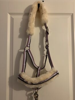 Neu Eskadron Lammfell Halfter Wb mit Stick orchidmauve, Eskadron, C., Halters, Ratekau