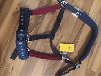 Neues Halfter von Felix Bühler, Felix Bühler , Saskia , Halters, Neuhausen auf den Fildern
