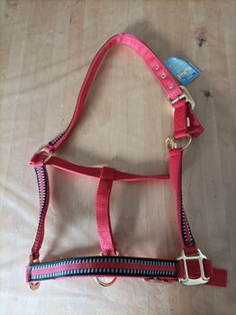 Neues Pferdehalfter, WT Western Imports, J.B., Halters, Brüggen