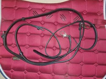 neue warmblut ausbinder