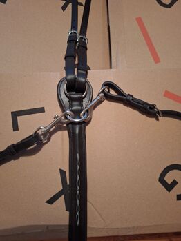 Neues Martingal, Priska, For Horses, Ried (Muotathal)