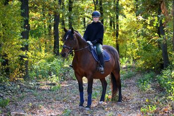 Zuverlässiger Geländepartner