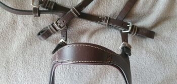 Nasenband Nirak mit Seitenteilen von PS of Sweden, Shenaya, Bridles & Headstalls, Köniz