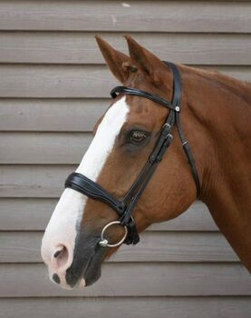 Norton Trense Confort Pro Schwarz Cob neuwertig, Norton  Confort Pro, Jessica Roos, Bridles & Headstalls, Untersiemau 