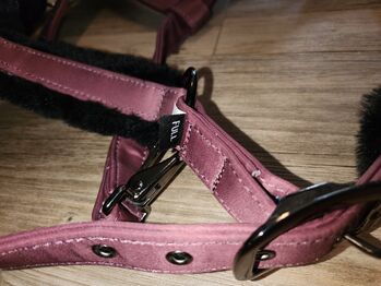 Novafon Halfter+Strick Novafon 