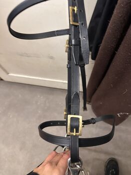 Portugiesische Trense neu