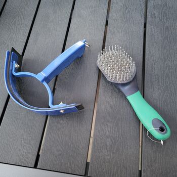 Schweißmesser und Mähnenbürste, Jenny, Czyszczenie konia, Bovenden-Harste