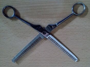 Ausdünnschere, Sianka , Pielęgnacja konia, Berlin