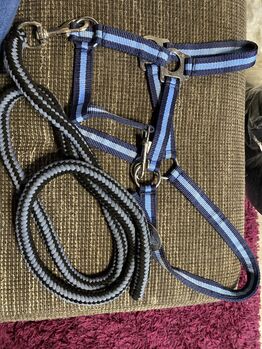 Ponyhalfter Nylon, Celine Nock, Halters, Ettlingen