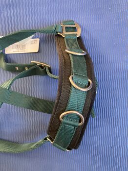 Neuer Kappzaun von Waldhausen Waldhausen Cavesson Economic