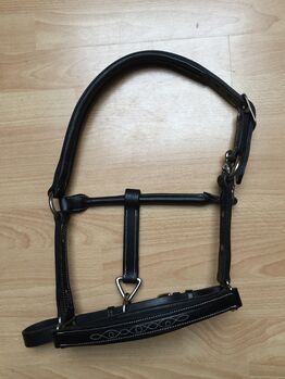 Neues, schwarzes Lederhalfter, Fouganza, Celina, Halters, Frick