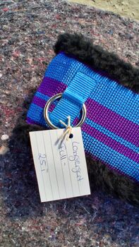 Longiergurt in Full, Melissa, Lonżowanie, Thedinghausen 