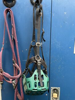 Greenguard Fressbremse Gr.VB/Cob Greenguard Fressbremse mit Halfter 