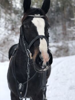 Odetta sucht ein liebevolles Zu Hause