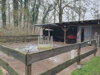 Offenstallplatz, Schnitzler , Horse Stables, Mönchengladbach