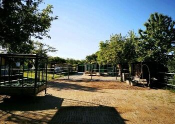 Offenstallplatz Offenstall mit Weiden Selbstversorger