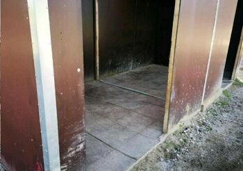 Offenstallplatz Offenstall mit Weiden Selbstversorger Wallach