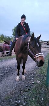 Offenstallplätze frei