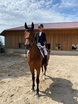 Österreichisches Warmblut, Pia Tober , Horses For Sale, St.Oswald 
