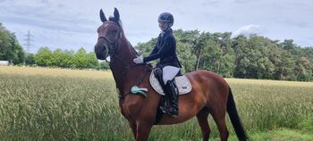 Biete Reitunterricht / Beritt, Hanna Kreuzeberg, Pozostałe, Emsdetten