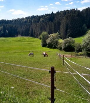 Ich biete stellplatz in meinem Offenstall an, Elina, Wolna stajnia, Waldkirchen