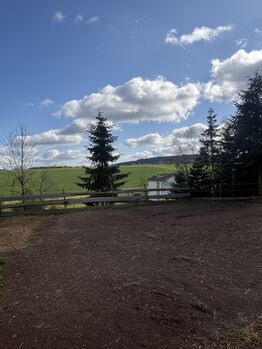 Offenstall, Einstellplatz, Beistellpferd