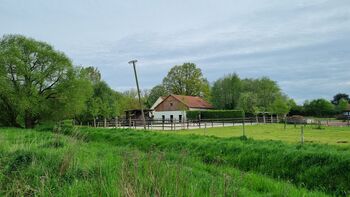 Offenstall Platz Stute oder Wallach Open Ranch 