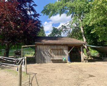 Offenstall zu verkaufen, Mia Nele Weiß, Pferdeimmobilien, Leutkirch 