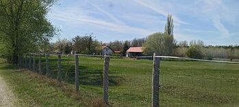 Offenstall- & Weideplätze – Ruhiger Senioren Pferdehof in Südungarn, Zoltan, Pferdeimmobilien, Puzstamerges 