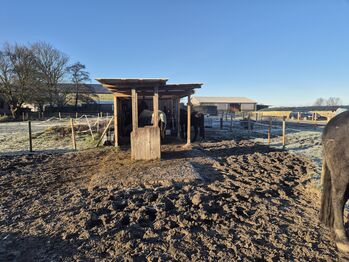 Offenstallplatz für Kur und Dauerplatz frei
