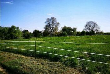 Offenstallplatz Offenstall mit Weiden und Reitplatz Selbstversorger Wallach