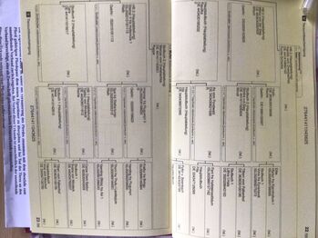 Islandpferd Hengst Jährling