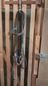 Westerntrense mit doppelt gebrochenen Gebiss