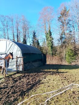 Rundbogen Stallzelt 6m X 6m Eurotent