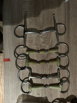 Verschiedene Gebisse