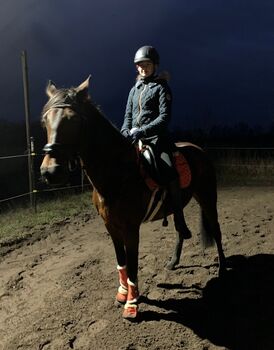 Suche eine Reitbeteiligung, Emily, Horse Sharing, Grosenaspe