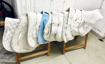 Paket 13 Satteldecken - 11 Stück weiß springen , 1 blau, 1 rot, Kat Ri, Inne podkładki pod siodło, Griesheim
