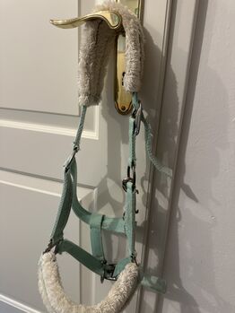 Halfter Turkis, USG , Anne, Kantary, OBerursel